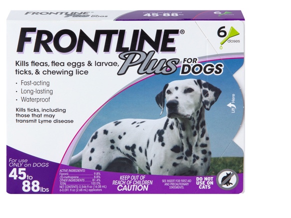 Applying frontline to clearance dogs